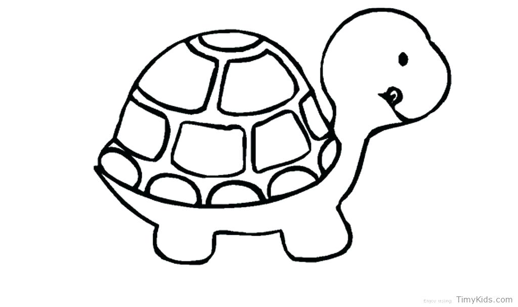 1024x606 Coloring Pages Of Turtles Turtle Color Pages Turtle Color Pages