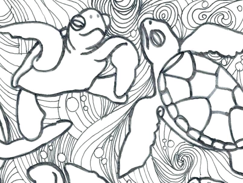 805x607 Mutant Ninja Turtles Coloring Superb Ninja Turtle Coloring Pages