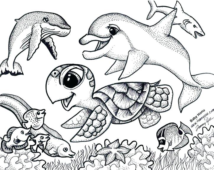 724x576 Turtle Coloring Pages For Adults Scarce Sea Turtle Coloring Page