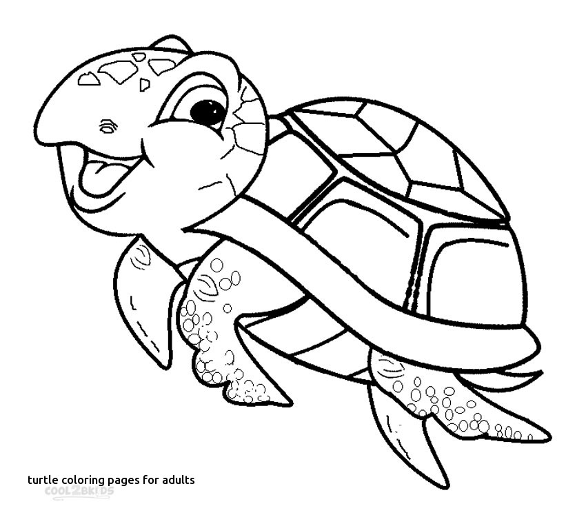 850x747 Turtle Coloring Pages For Turtle Coloring Pages For Adults