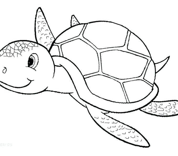 Printable Turtle Coloring Pages Cartoon Baby Turtle Coloring Page 678x594 Printable Turtle Coloring Pages Cartoon Baby Turtle Coloring Page