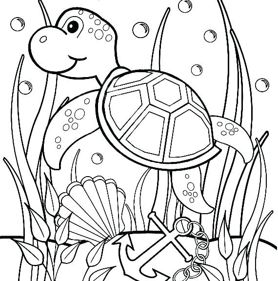 Turtle Coloring Sheet Drawn Page Pencil And In Color Fine Pages 570x576 Turtle Coloring Sheet Drawn Page Pencil And In Color Fine Pages