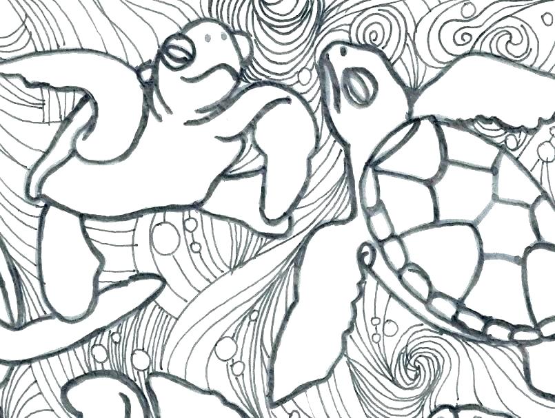 Coloring Pages Turtles Coloring Pages Turtles Coloring Pages 805x607 Coloring Pages Turtles Coloring Pages Turtles Coloring Pages