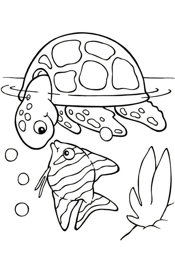 Free Printable Turtle Coloring Pages For Kids 600x900 Free Printable Turtle Coloring Pages For Kids
