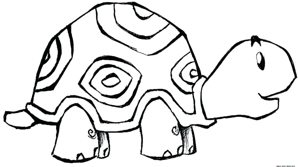 Or Hare Tortoise Coloring Pages 1024x575 Or Hare Tortoise Coloring Pages