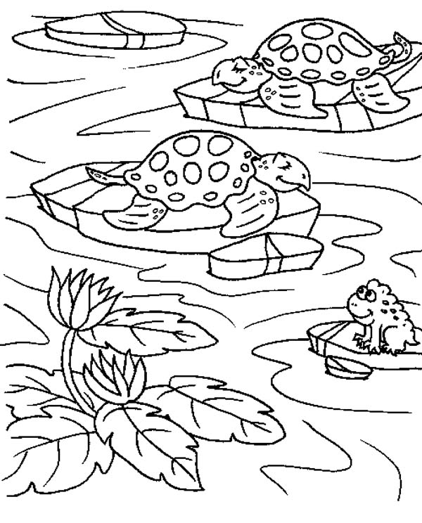 Pond Coloring Page Preschool 600x744 Pond Coloring Page Preschool