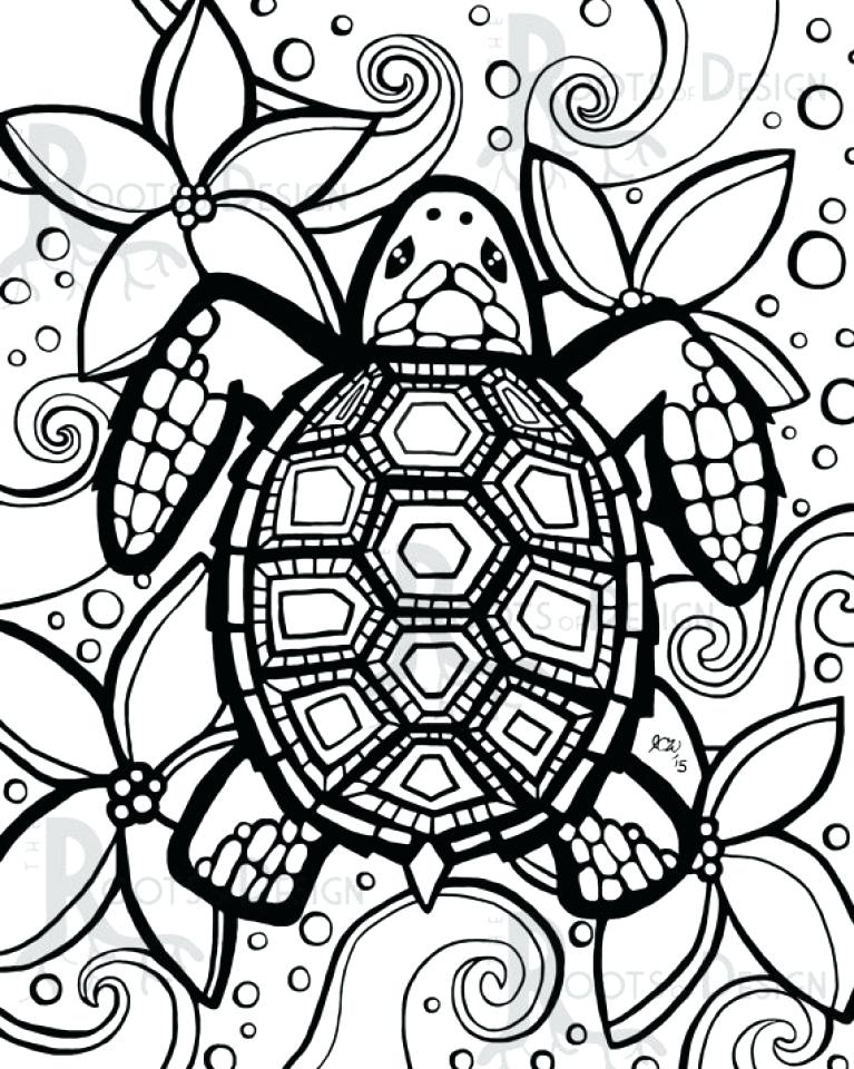 Turtle Coloring Pages Preschool Turtle Coloring Pages To Print 767x960 Turtle Coloring Pages Preschool Turtle Coloring Pages To Print