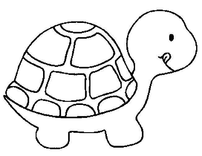652x504 Coloring Book Pages Of Turtles