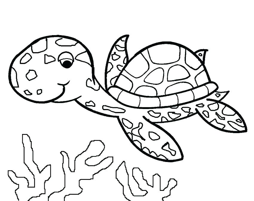 850x675 Coloring Raphael Ninja Turtle Coloring Pages Printable Turtles