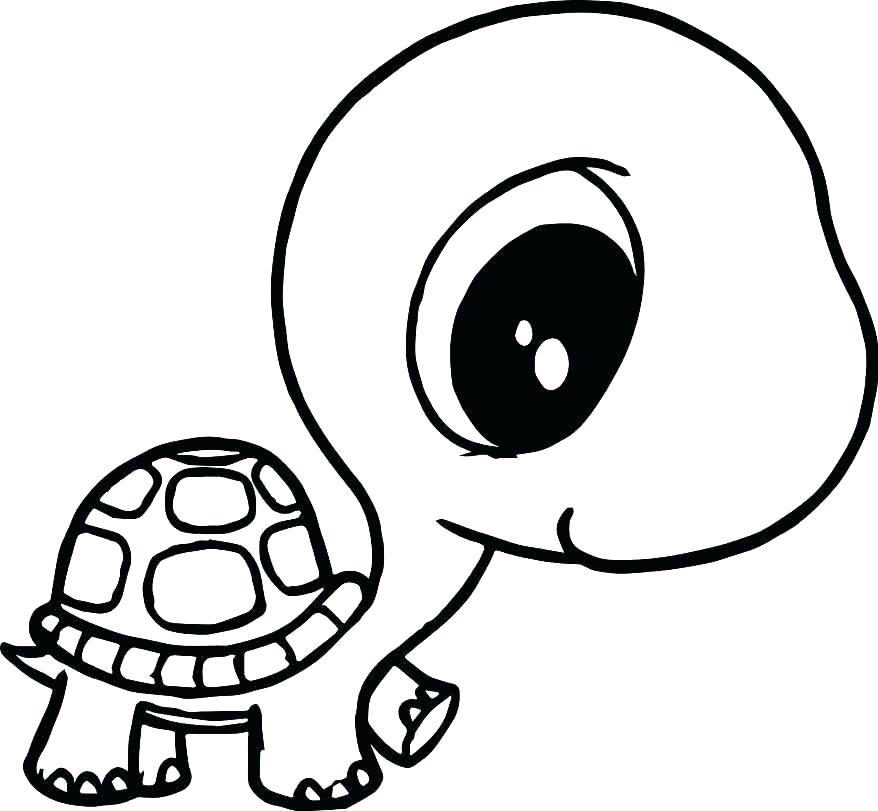 878x811 Printable Turtle Coloring Pages For Adults