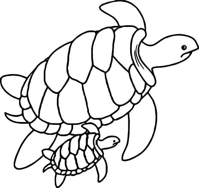 700x661 Coloring Turtle Shell Turtle Coloring Ninja Turtle Coloring Pages