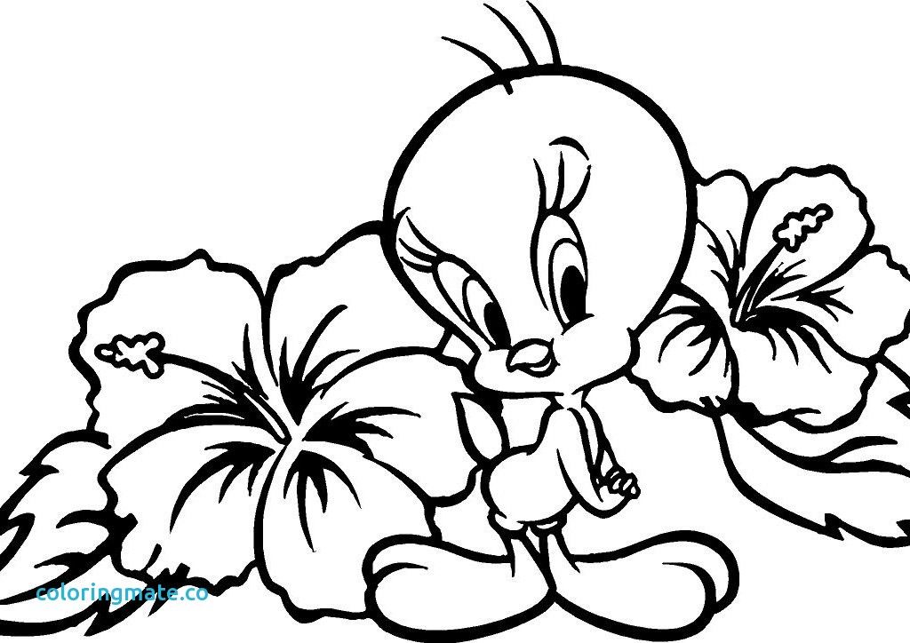 Tweety Coloring Pages Unique Tweety Bird Coloring Pages Az 1024x724 Tweety Coloring Pages Unique Tweety Bird Coloring Pages Az