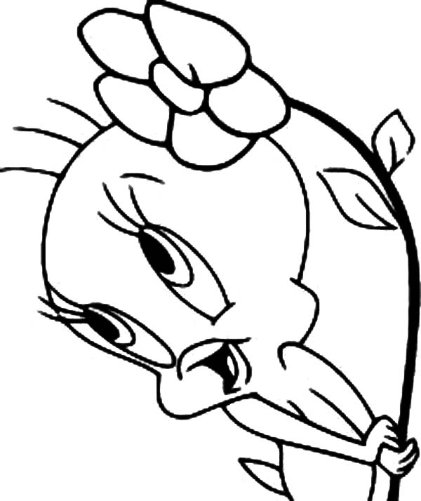 600x714 Ingenious Coloring Pages Draw Tweety Bird