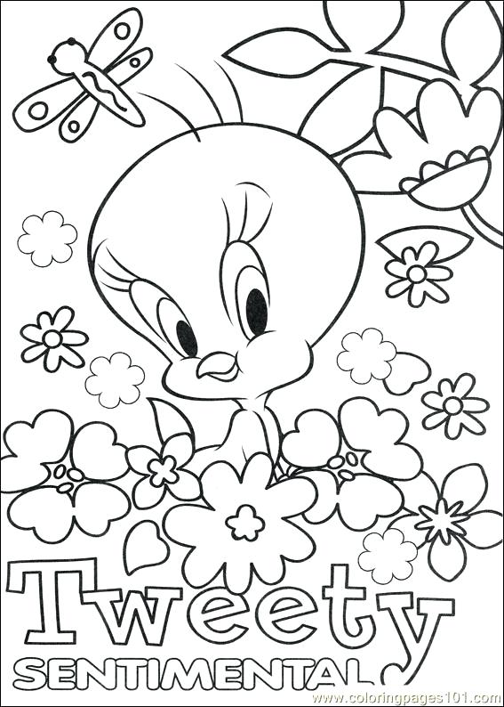 567x794 Coloring Pages Tweety Coloring Page Tweety Coloring Pages Free