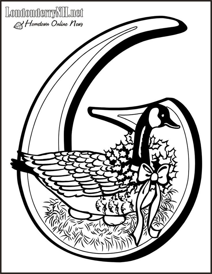 19 Best 12 Days Of Christmas Images On 12 Days 736x950 19 Best 12 Days Of Christmas Images On 12 Days