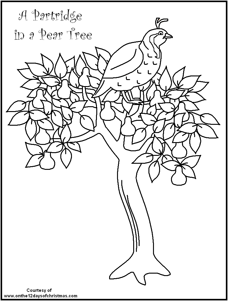 12 Days Of Christmas Coloring Pages 748x989 12 Days Of Christmas Coloring Pages