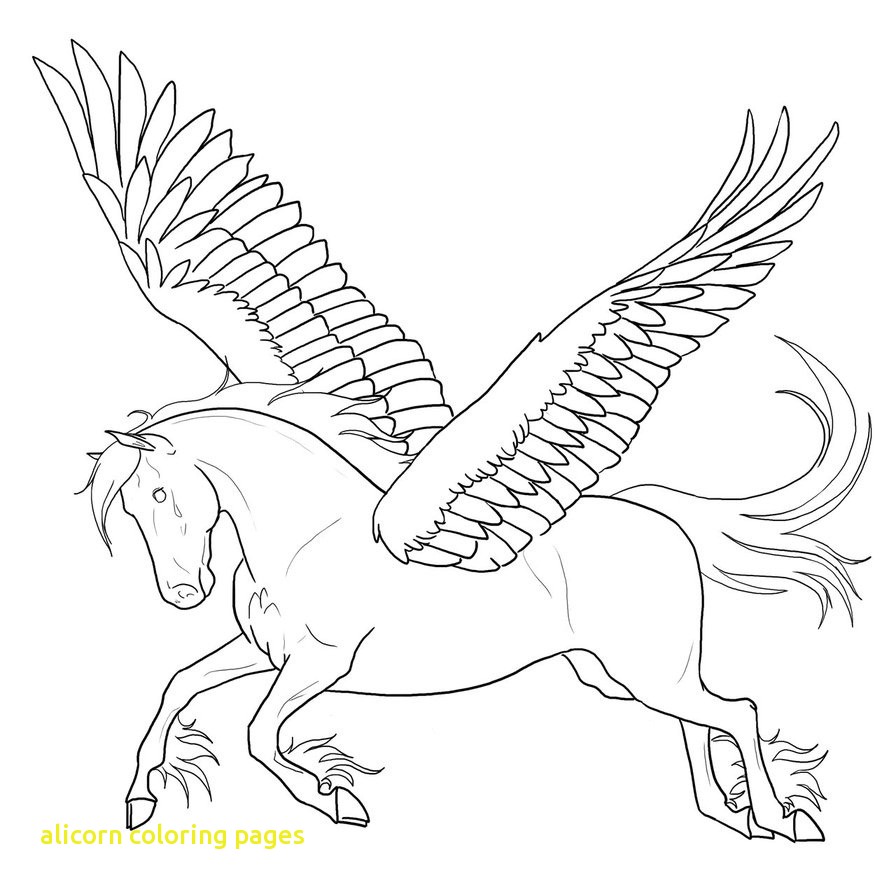 896x892 Alicorn Coloring Pages My Little Pony Coloring Pages Princess