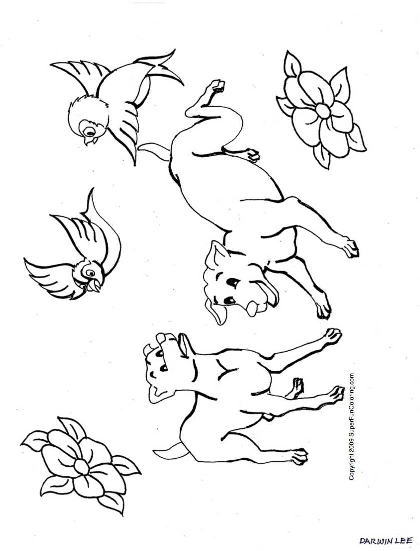 Coloring Pages Dogs 2 839x1100 Coloring Pages Dogs 2