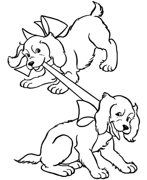 Two Dog Playing With Their Ribbon Coloring Page Color Luna 600x734 Two Dog Playing With Their Ribbon Coloring Page Color Luna