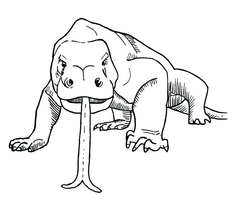 Komodo Dragon Coloring Pages Dragon Coloring Page Dragon Coloring 796x696 Komodo Dragon Coloring Pages Dragon Coloring Page Dragon Coloring