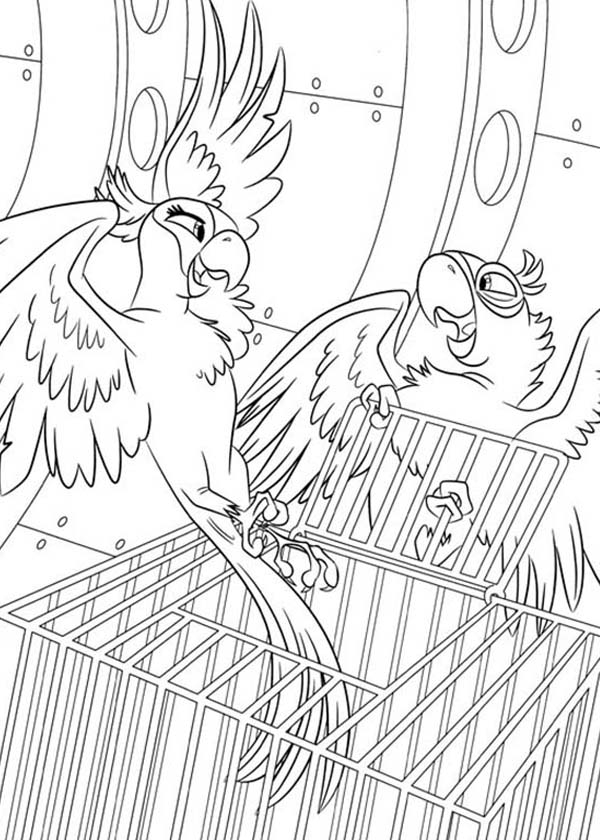 600x840 28 Rio Coloring Pages Printable Free Coloring Pages