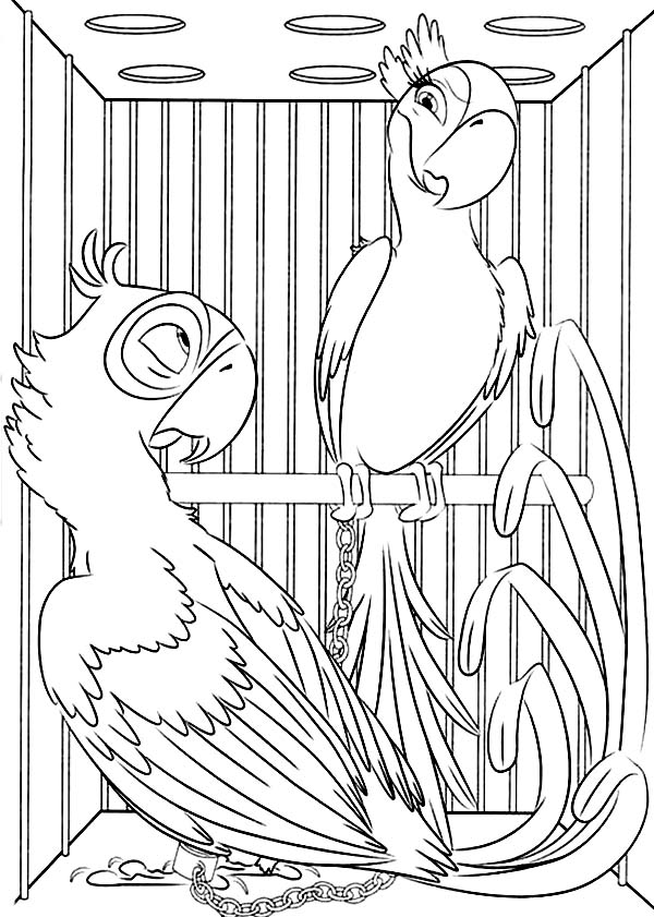 600x841 Batch Coloring