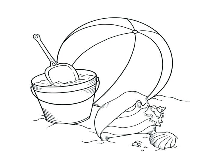 Many Types Of Seashells And Starfish Coloring Page Pages Flowers 728x546 Many Types Of Seashells And Starfish Coloring Page Pages Flowers