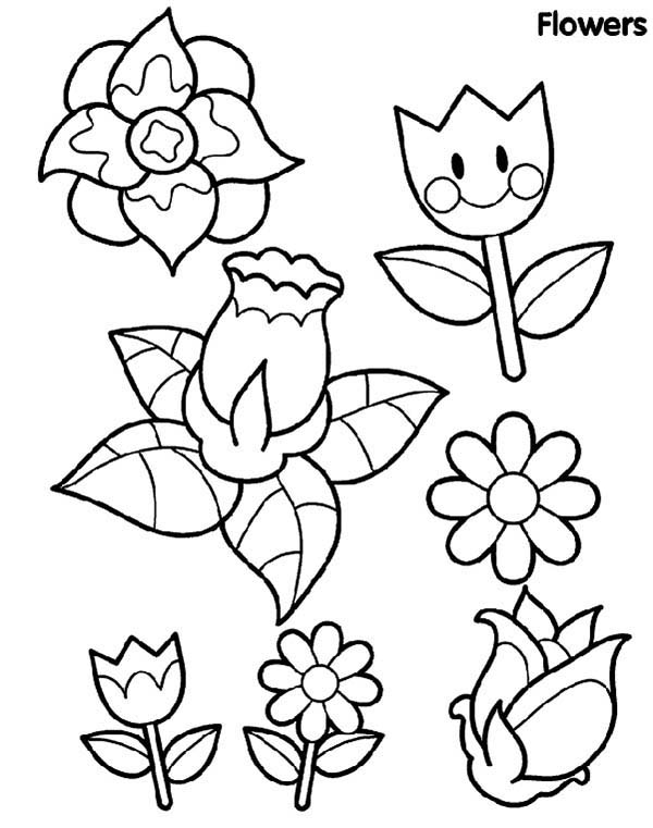 Type Of Spring Flower Coloring Page Color Luna 600x761 Type Of Spring Flower Coloring Page Color Luna