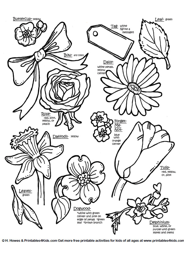Types Of Flowers Coloring Pages 602x829 Types Of Flowers Coloring Pages