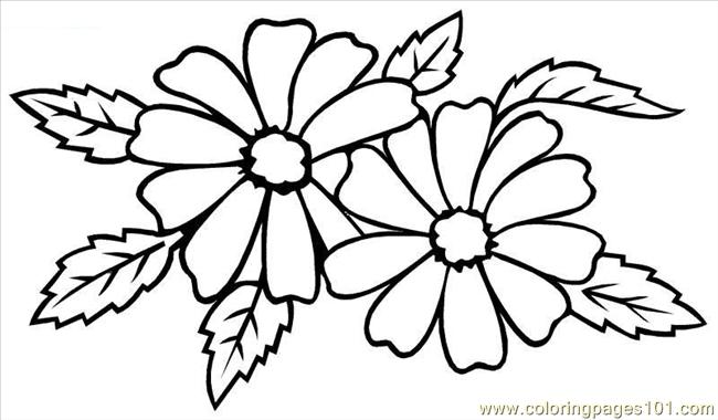 Types Of Wedding Flowers Coloring Page 650x380 Types Of Wedding Flowers Coloring Page