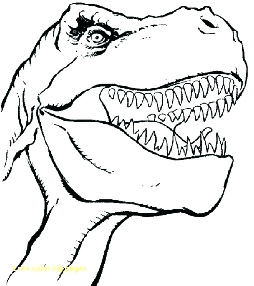 T Rex Coloring Page T Coloring Page Rex Colouring Pages 816x918 T Rex Coloring Page T Coloring Page Rex Colouring Pages