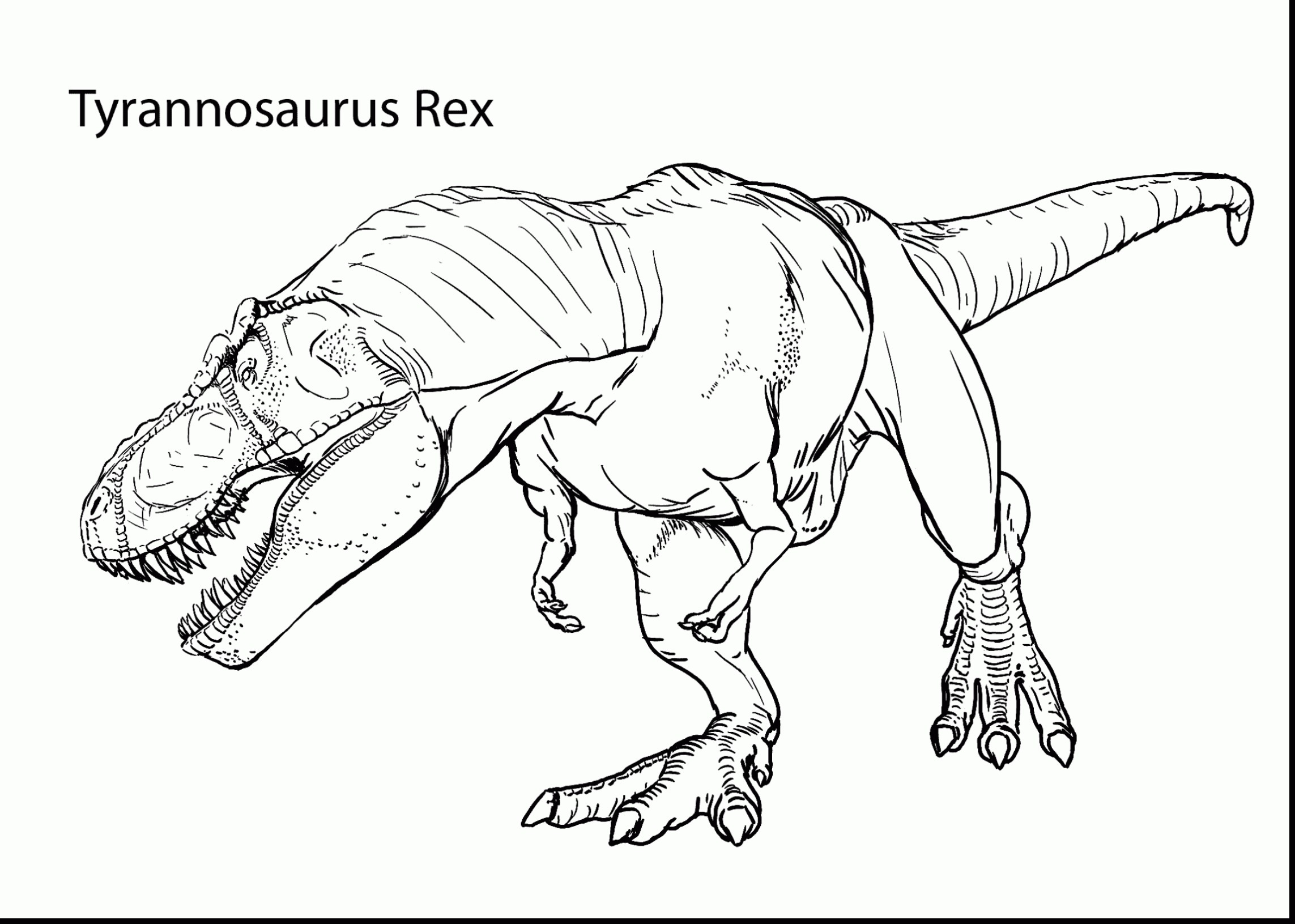 Tyrannosaurus Rex Coloring Page T Rex Coloring Pages With Trex 2286x1631 Tyrannosaurus Rex Coloring Page T Rex Coloring Pages With Trex