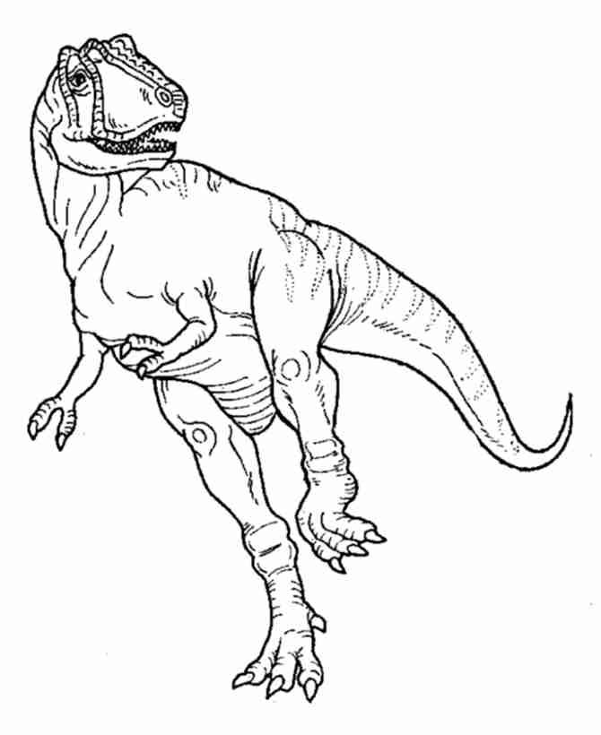 Tyrannosaurus Rex Free Printable Coloring Page Coloring Pages 670x820 Tyrannosaurus Rex Free Printable Coloring Page Coloring Pages