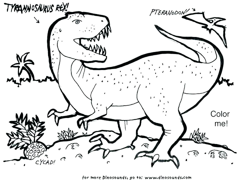 T Rex Coloring Page Good T Coloring Pages Kids Tyrannosaurus 960x720 T Rex Coloring Page Good T Coloring Pages Kids Tyrannosaurus