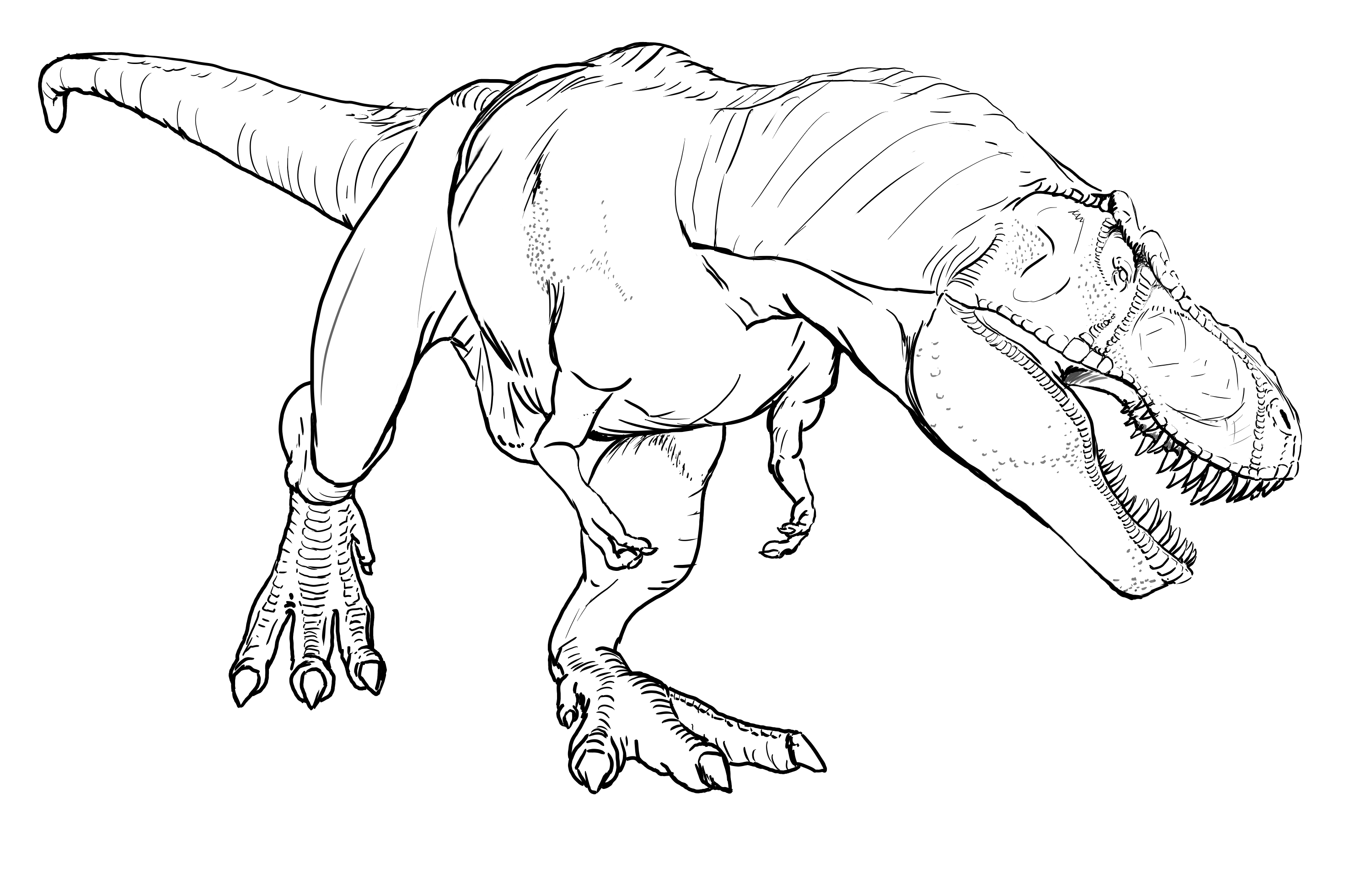 3000x1910 T Rex Coloring Pages