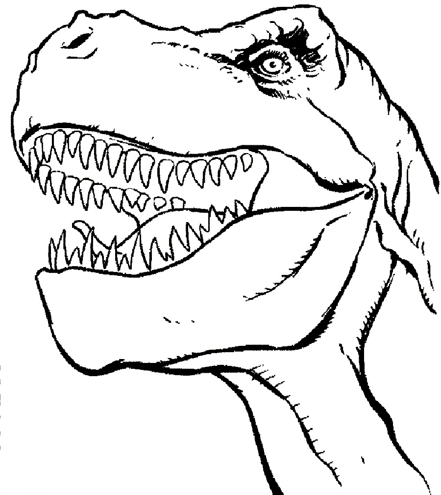 T Rex Coloring Pictures Printable 900x1012 T Rex Coloring Pictures Printable