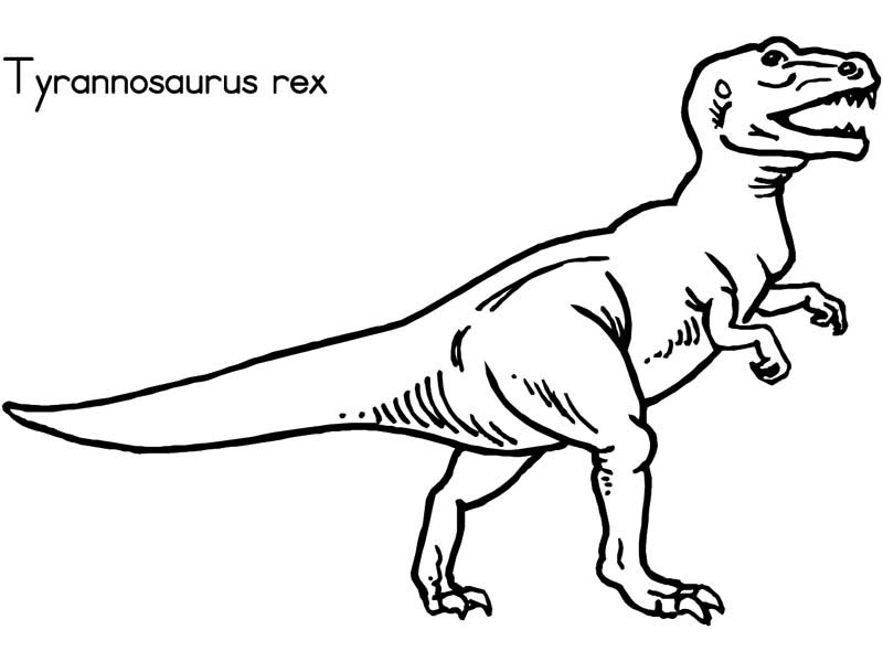 Coloring Pages Dinosaurs T Rex. Tyrannosaurus Rex Coloring Pages 800x600 Coloring Pages Dinosaurs T Rex. Tyrannosaurus Rex Coloring Pages