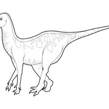Tyrannosaurus Rex Coloring Pages 220x220 Tyrannosaurus Rex Coloring Pages