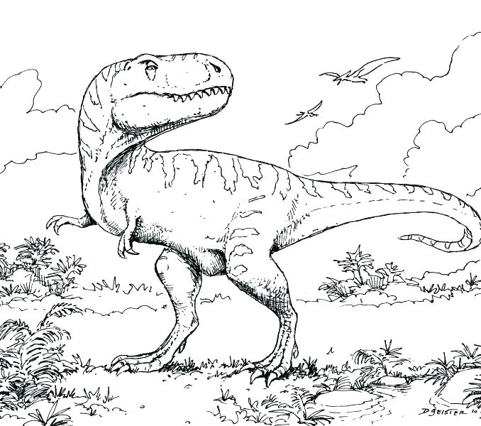 Mesmerizing Tyrannosaurus Rex Coloring Pages Mesmerizing 678x600 Mesmerizing Tyrannosaurus Rex Coloring Pages Mesmerizing