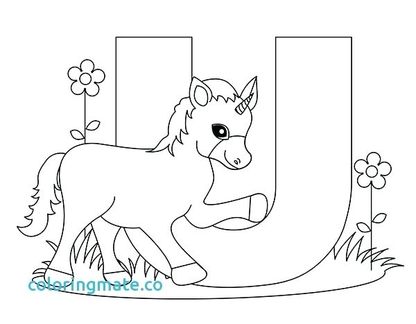600x467 U Coloring Pages Pics Photos Letter U Coloring Page Coloring Pages