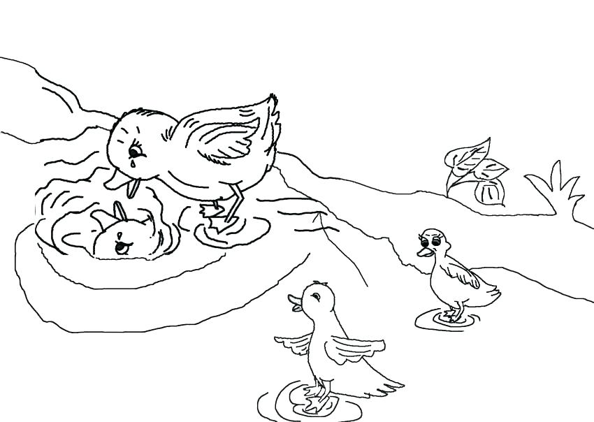 850x604 Ugly Duckling Coloring Pages Duckling Coloring Pages Ugly Duckling