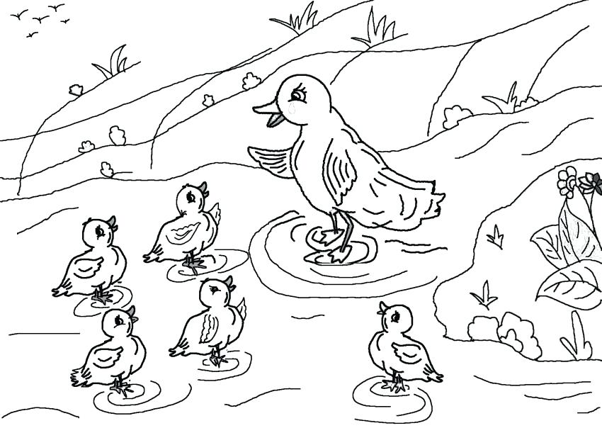 Duckling Coloring Pages Find More Ugly Duckling Ugly Duckling 850x604 Duckling Coloring Pages Find More Ugly Duckling Ugly Duckling