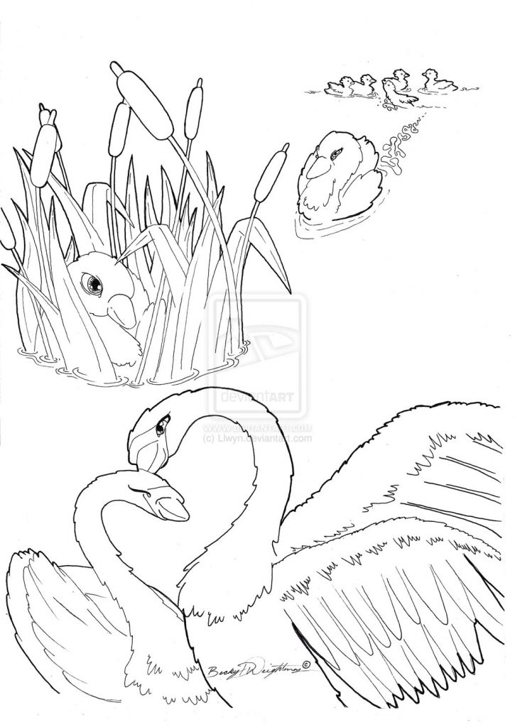 The Ugly Duckling Tale Coloring Pages For Kids Book Page Stock 725x1024 The Ugly Duckling Tale Coloring Pages For Kids Book Page Stock