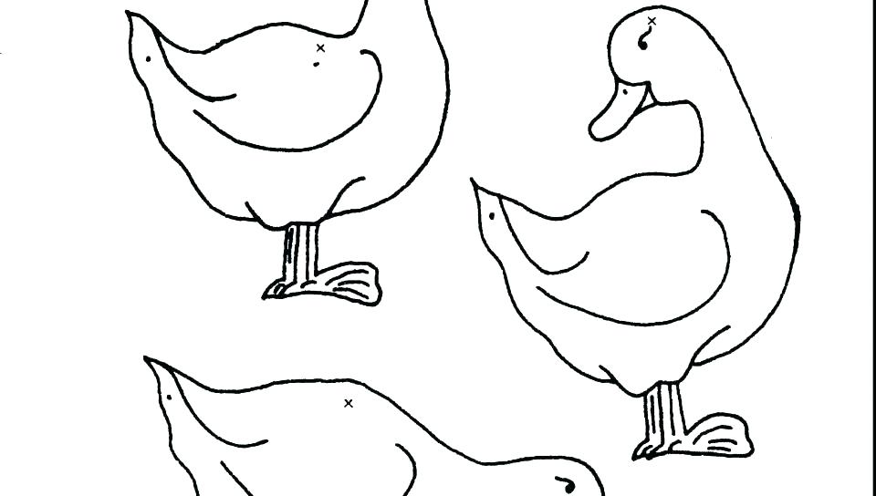 Baby Ducks Coloring Pages Duck Outline Duck Outline 960x544 Baby Ducks Coloring Pages Duck Outline Duck Outline