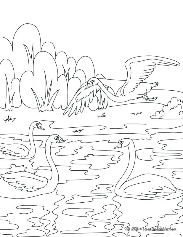 Ugly Duckling Coloring Pages The Ugly Duckling Coloring Pages 618x800 Ugly Duckling Coloring Pages The Ugly Duckling Coloring Pages