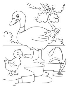 Ugly Duckling. A Fairy Tale. Illustration For Children. Coloring 236x305 Ugly Duckling. A Fairy Tale. Illustration For Children. Coloring