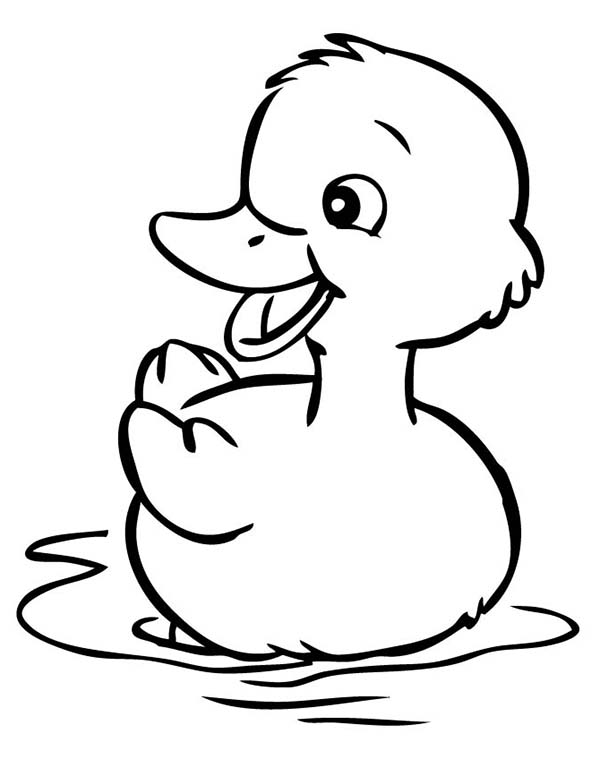 Duckling Coloring Page Funycoloring Duckling Coloring Pages 600x776 Duckling Coloring Page Funycoloring Duckling Coloring Pages