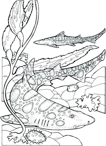 365x500 Coloring Pages For Kids Spring United Kingdom Flag Page Medium