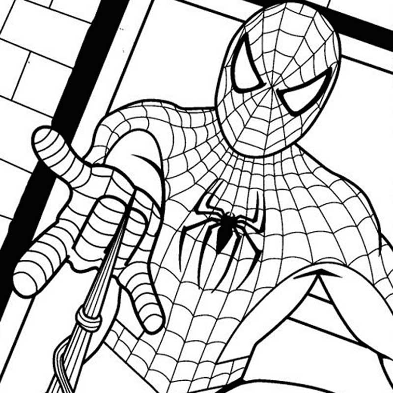 Spiderman Coloring Pages Kids Free Coloring Pages Super Heroes 800x800 Spiderman Coloring Pages Kids Free Coloring Pages Super Heroes