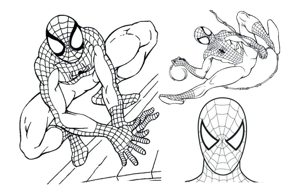 Ultimate Spider Man Coloring Pages Spider Man Color Pages Coloring 1024x657 Ultimate Spider Man Coloring Pages Spider Man Color Pages Coloring